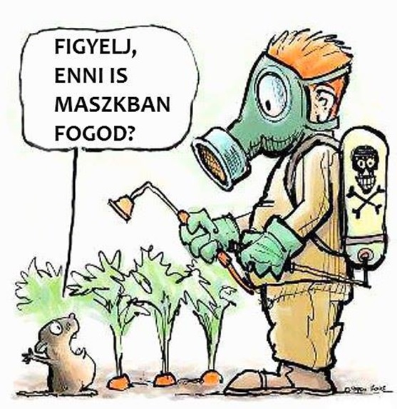 viccz Morbi vitae purus dictum, ultrices tellus in, gravida lectus.