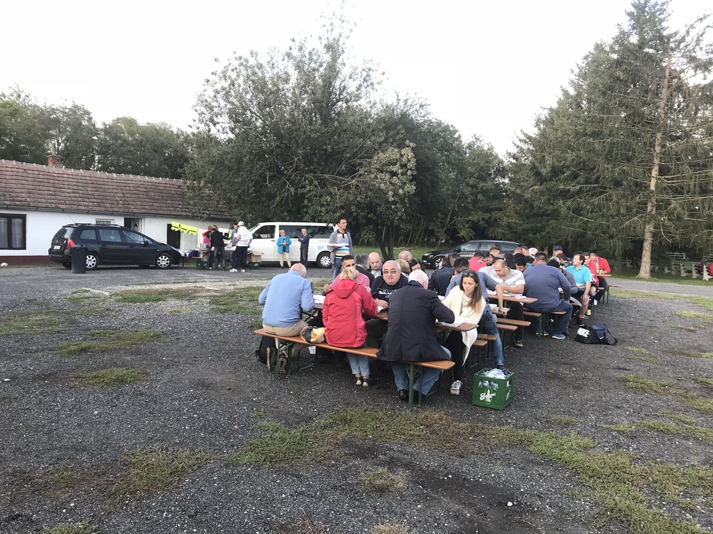 Morbi vitae purus dictum, ultrices tellus in, gravida lectus. 