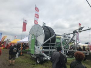 IMG 6627 (Másolás) IMG 6627 (Másolás)