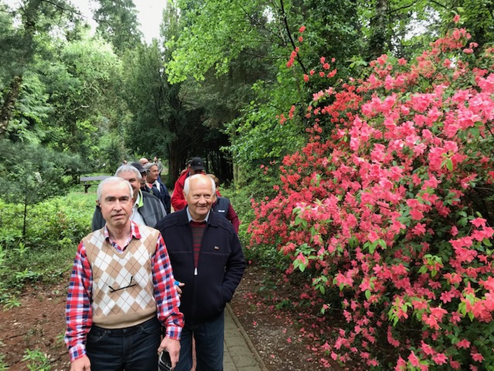 IMG 7022 (Másolás)