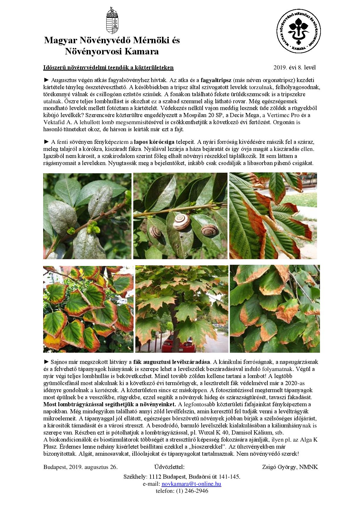 kozterulet 2019 08 page 001 (1)