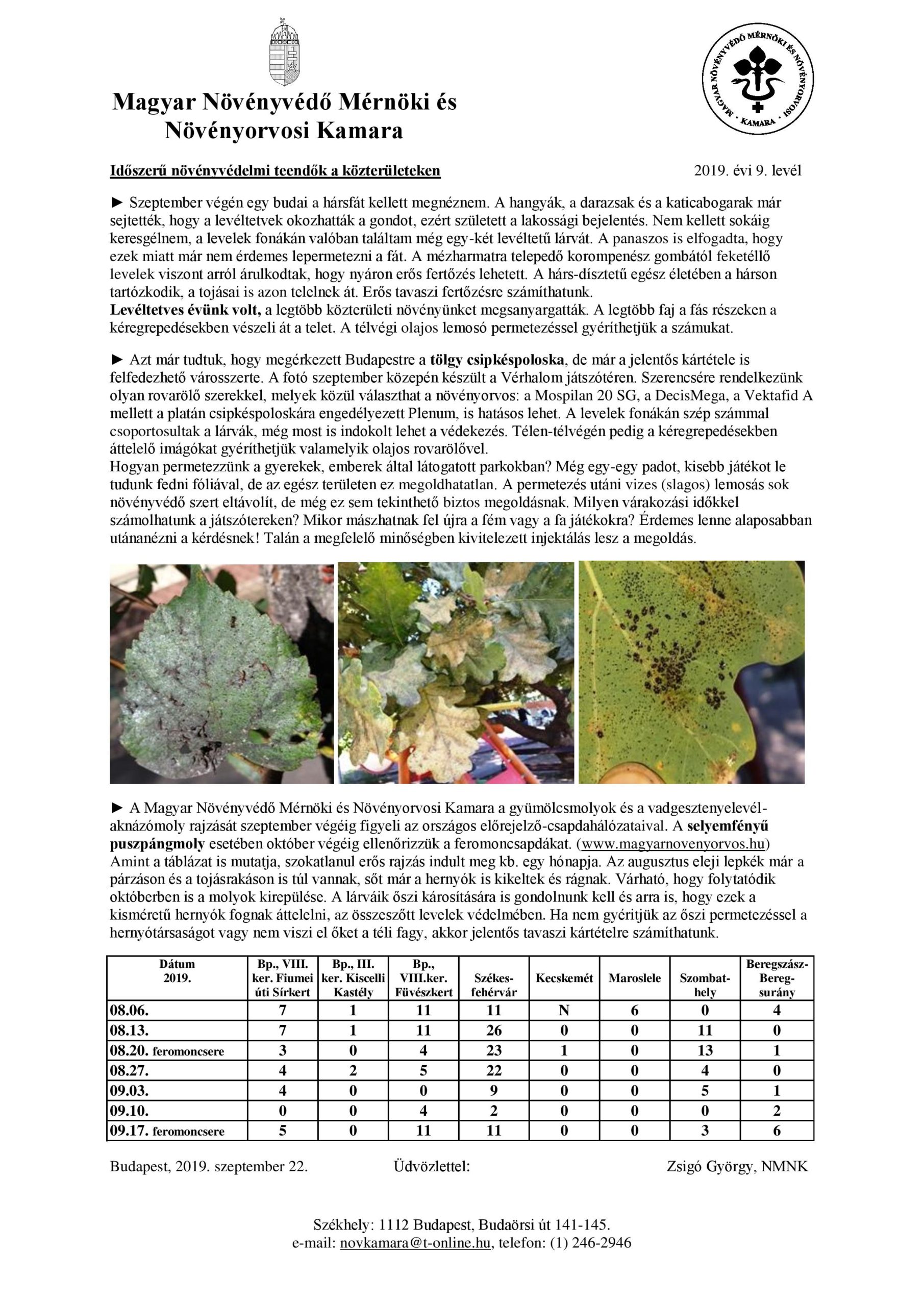 kozterulet 2019 09 2 page 001 (1)