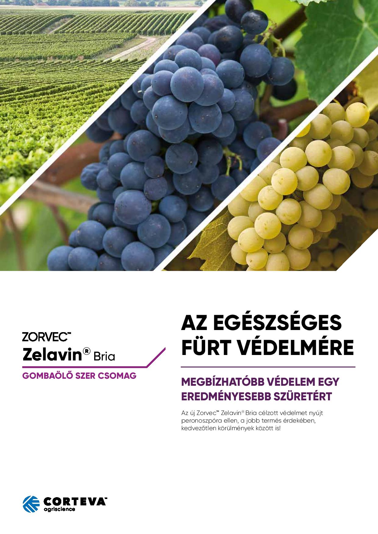 zorvec zelavin bria katalógus web page 001
