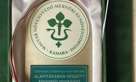 VMNK kitüntetettjei