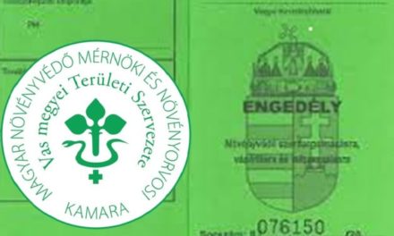 80 órás alaptanfolyam